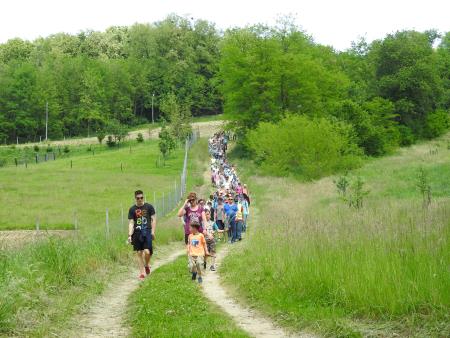 12. pohod Pomlad v prleških goricah Dan odprtih kleti in veselih ljudi, 28.5.2016 47